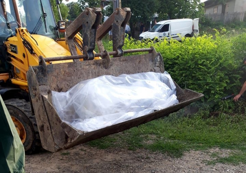 Confirmare nou focar de pestă porcină africană în județul Botoșani