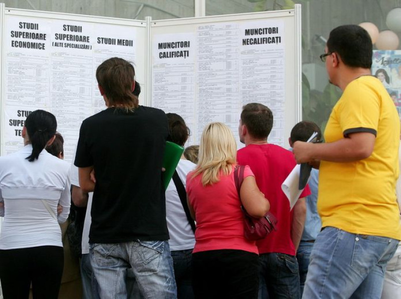 AJOFM Botoșani organizează bursa locurilor de muncă pentru absolvenți