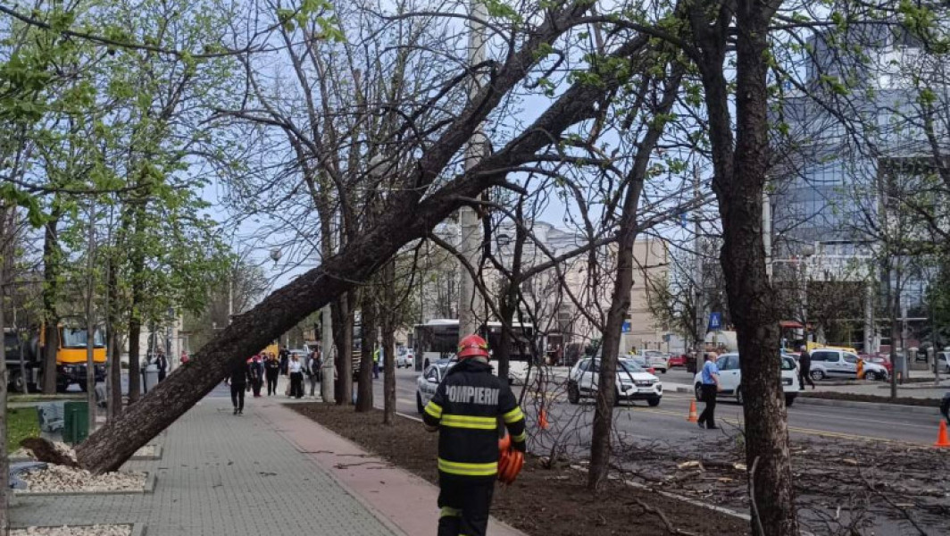 ISU Bucureşti-Ilfov a intervenit în 36 de cazuri din cauza vântului puternic