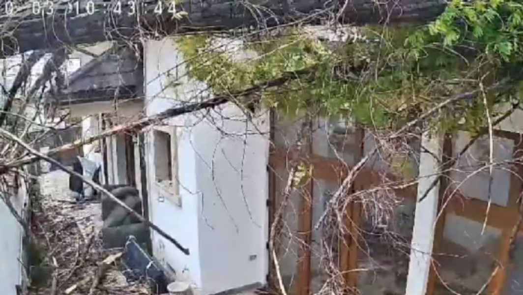 Copac doborât de vânt peste o casă din București în zi de cod portocaliu