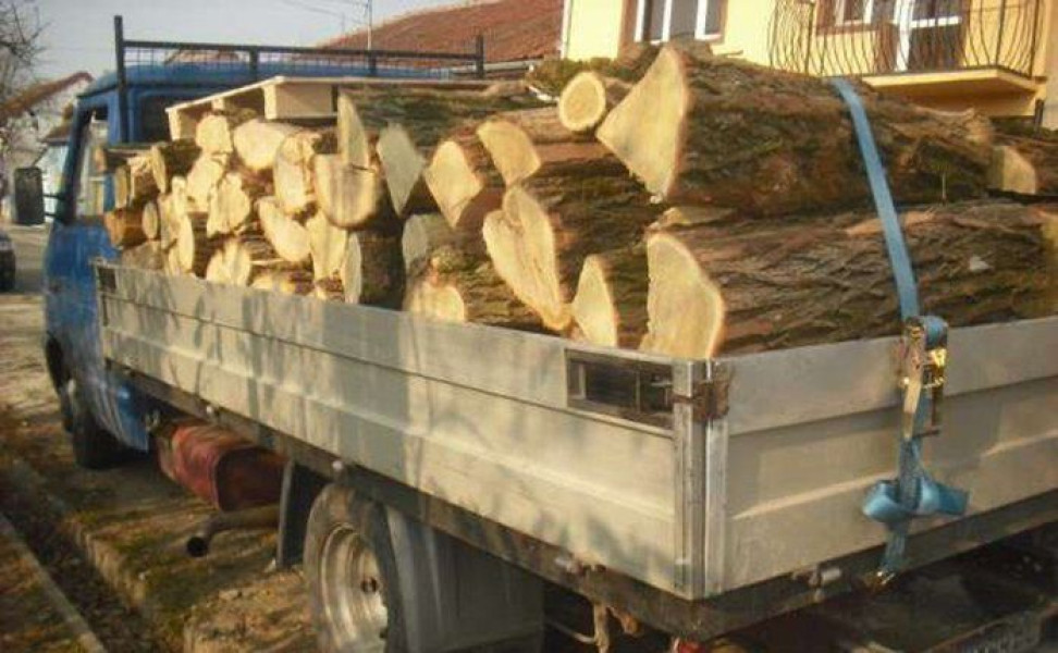 Confiscări și amenzi pentru transporturi ilegale de lemne în Botoșani