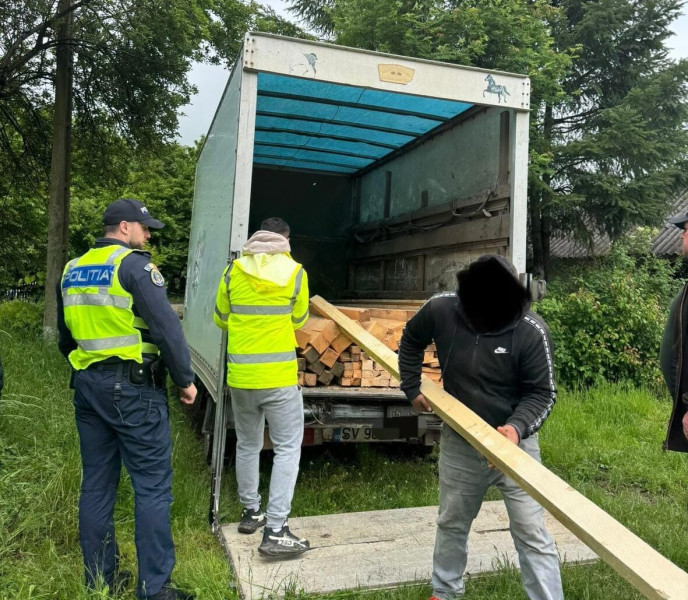 Transporturi ilegale de lemne, oprite de polițiști la Corlăteni și Havârna