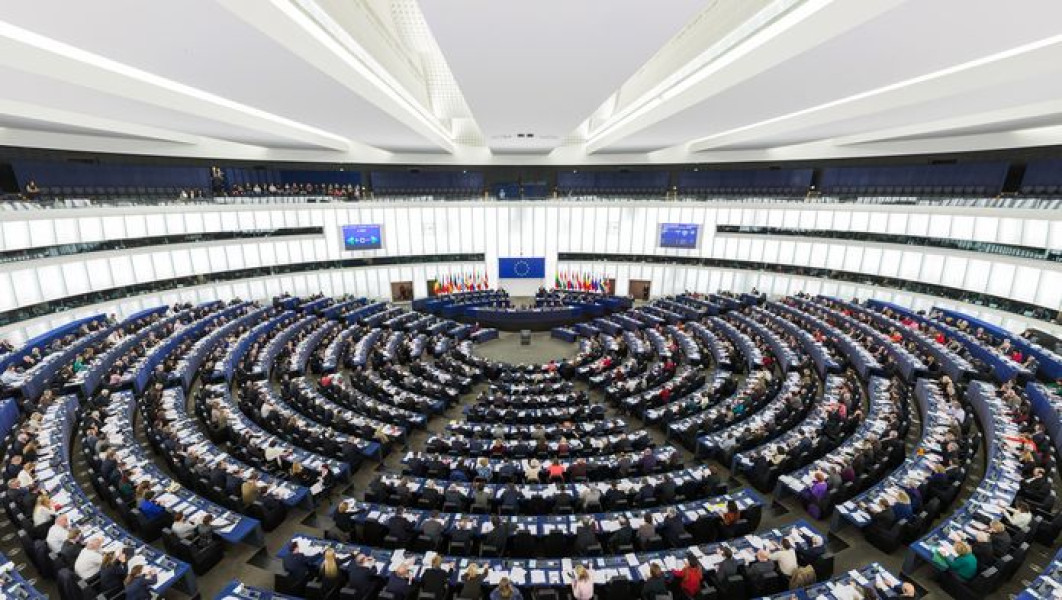 Parlamentul European limitează etichetarea produselor pe bază de plante cu termeni de carne