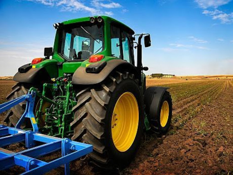 Fermieră din Botoșani prinsă cu documente false pentru subvenții agricole