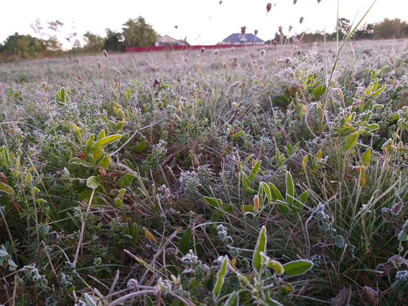 Un val de aer polar aduce temperaturi scăzute în toată țara săptămâna viitoare