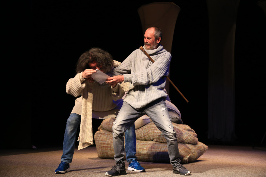 Teatrul „Mihai Eminescu” Botoșani prezintă două spectacole în weekend