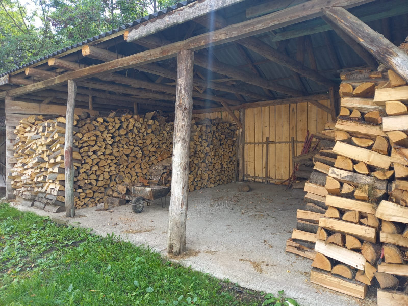 Locuitorii din Botoșani preferă lemne de esență tare pentru încălzire, deși sunt mai scumpe