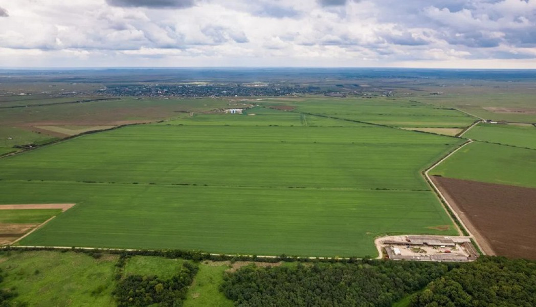 Peste 1.200 hectare de teren agricol sunt scoase la vânzare în județul Botoșani