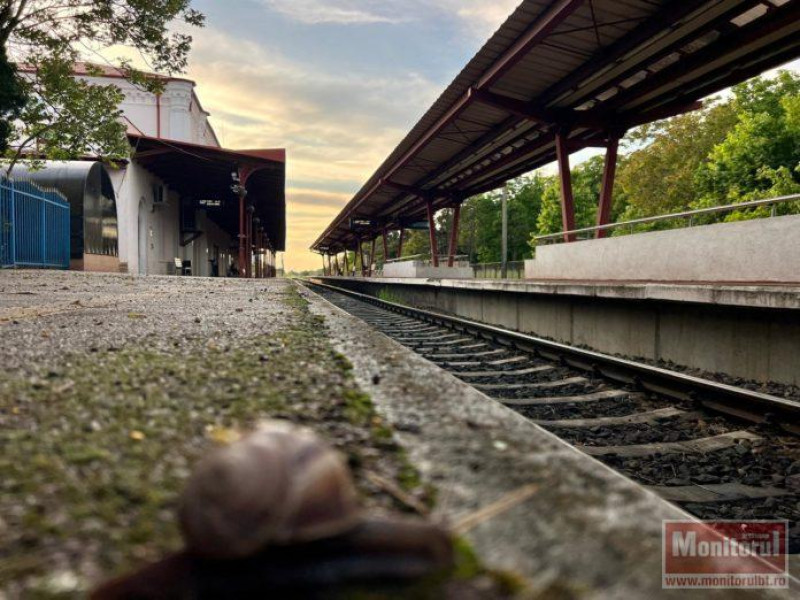 Suspensionarea trenurilor Botoșani–Suceava din cauza datoriilor CFR Călători