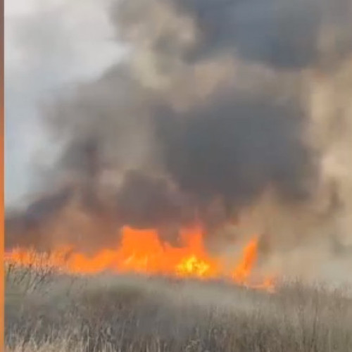 Puternic incendiu de vegetaţie în Delta Neajlovului stins de pompieri, intervenţia a durat 12 ore