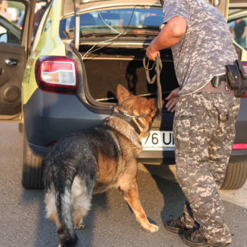 Legea prevenției drogurilor: traficanții nu mai scapă nepedepsiți. Gorghiu: traficul este o tragedie și trebuie să protejăm tinerii