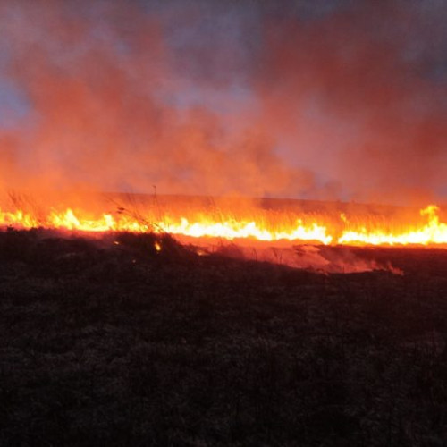 Zeci de Hectare de Teren Distruse de Foc, Intervenție Salvatoare a Pompierilor!