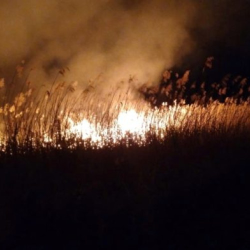 Alertă de incendiu în Tătărășeni, Havârna! Pompierii luptă împotriva flăcărilor violente în apropierea așezărilor. Populația este avertizată să evite folosirea focului în spații deschise. Al doilea incident major de vegetație în această săptămână. Vezi imagini înregistrate de pompieri la secția video.