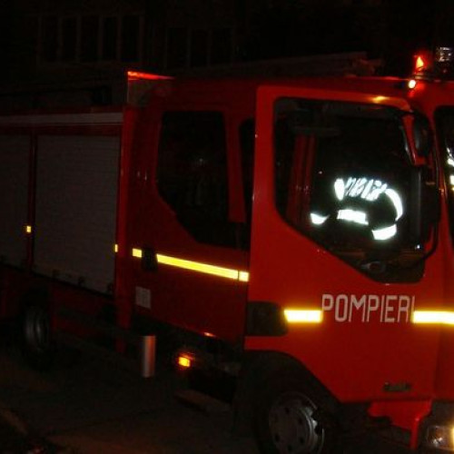 Ferma distrusă de incendiu în Strahotin: 28 de porci au pierit în flăcări din cauza unui scurtcircuit