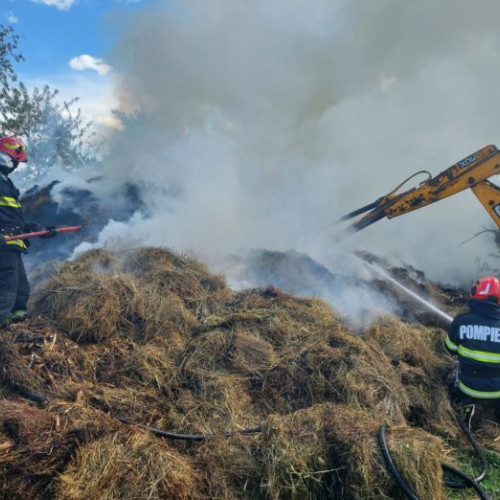 Depozit distrus de incendiu în județul Botoșani (VIDEO)