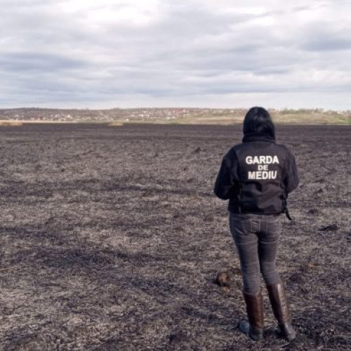 Sancțiuni și acțiuni pentru protejarea mediului în urma incendiilor din luna aprilie în județul Botoșani.