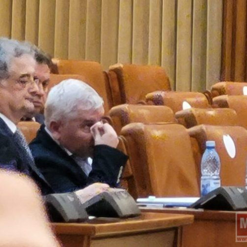 Confruntare între deputați în Parlamentul României: încăierare între Dan Vîlceanu și Florin Roman (video)