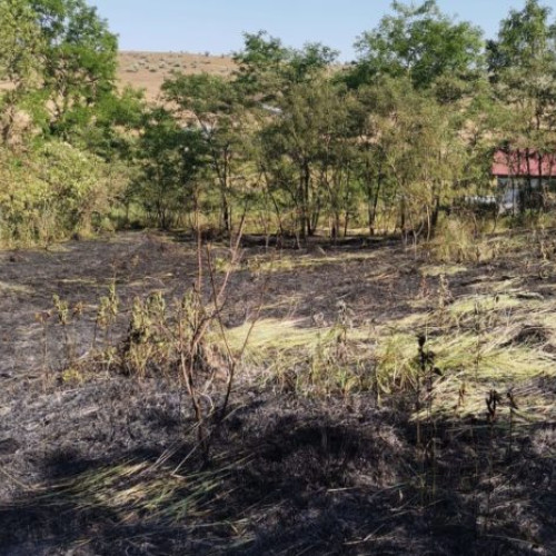 Județul Botoșani devastat de incendiile de vegetație. Casă distrusă de flăcări în Burlești