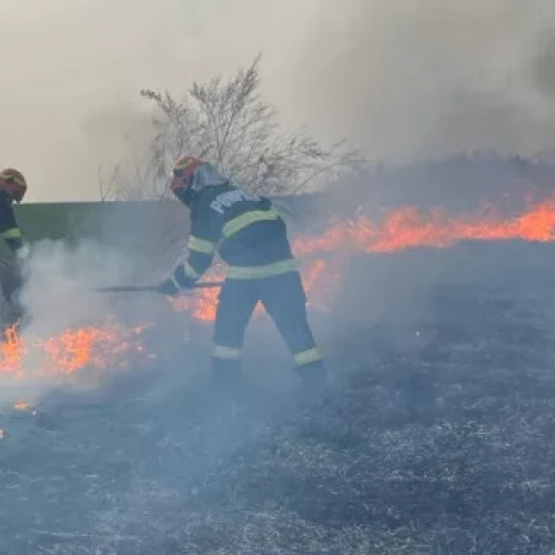 Incendiu de vegetație în județul Botoșani: Zeci de hectare distruse de flăcări violente