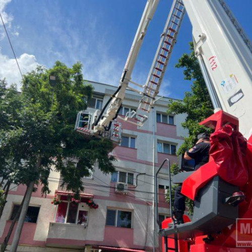 Albine salvate cu jandarmii şi pompierii (video)