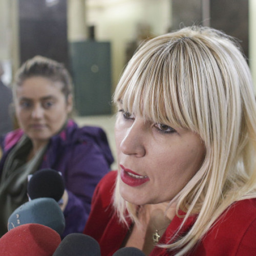 Scoate la vânzare hotelul Elenei Udrea şi al lui Dorin Cocoş.