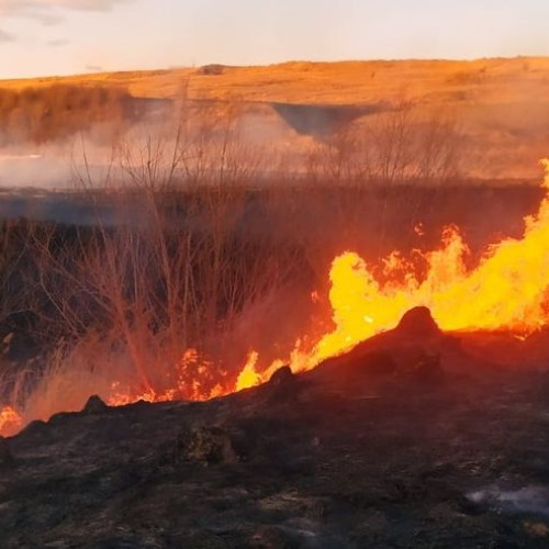 Incendii în creștere în județul Botoșani în luna mai