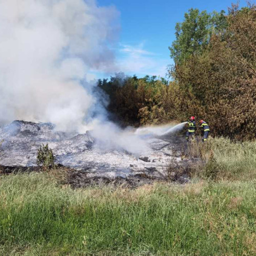 Incendiu De Proporții Lângă Localitatea Berza: Intervenție de Urgență a Pompierilor