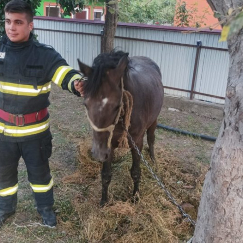 Cal salvat spectaculos de pompierii din Darabani