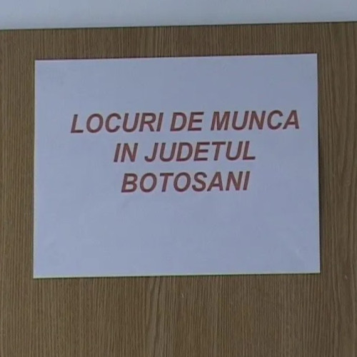 Șomerii din Botoșani au la dispoziție 543 de locuri de muncă vacante