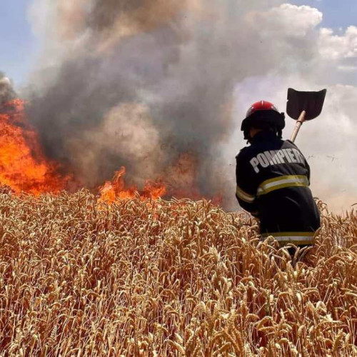 Masuri esentiale pentru prevenirea incendiilor in timpul campaniei de recoltare a cerealelor paioase