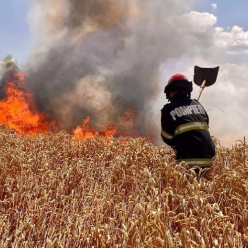 Campania de recoltare a cerealelor paioase: pompierii avertizează asupra riscului de incendii