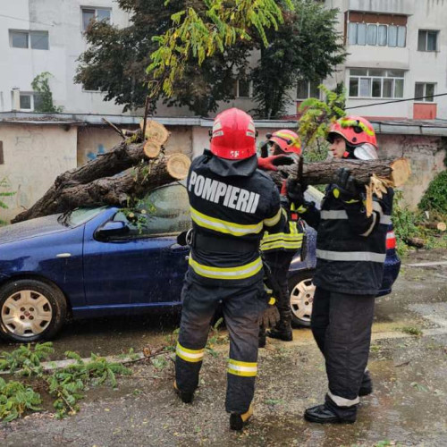 Un copac a căzut peste o mașină pe strada Primăverii din Botoșani