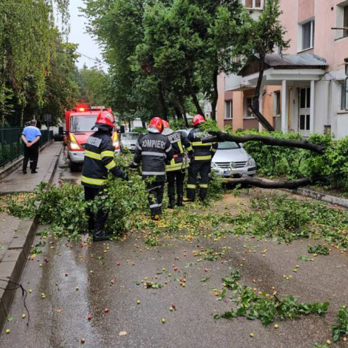 Pompierii au intervenit pentru înlăturarea unui copac căzut pe strada Varnav