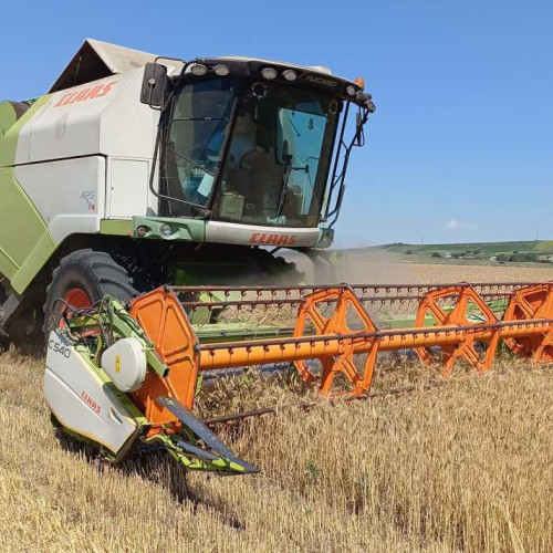 Agentia de Plati si Interventie pentru Agricultura (APIA) Botosani anunta plati semnificative pentru fermieri